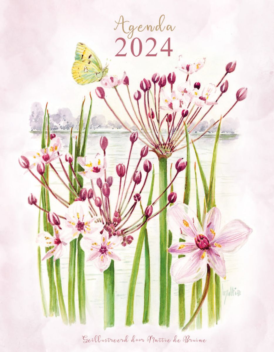 Mattie agenda 2024